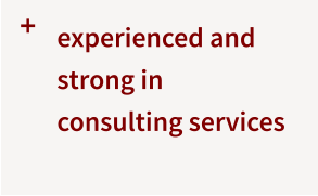 +  experienced and strong in consulting services